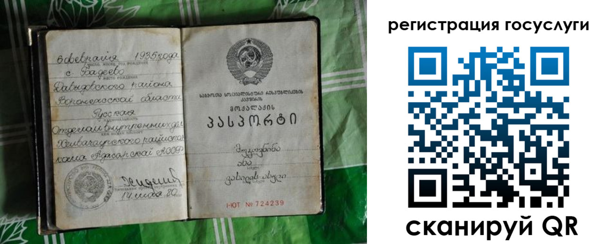 прописка в квартире в Гвардейске